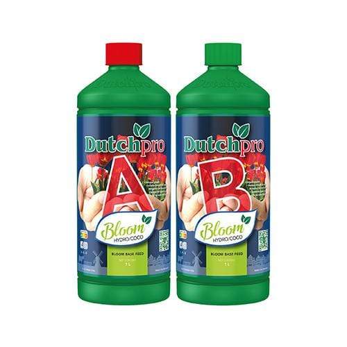 Dutch Pro Coco Bloom A&B
