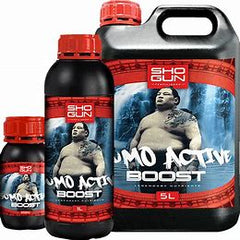 Shogun Active Boost
