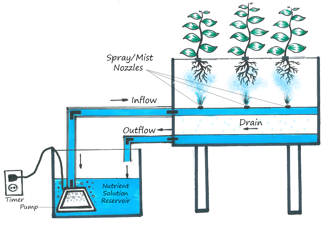 Why It's Time to Ditch the Dirt (and the Watering Can!)