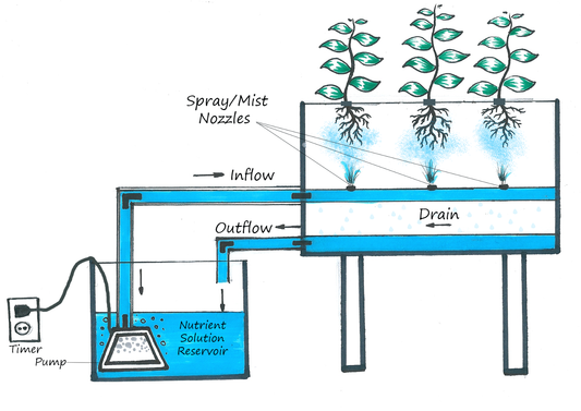 Why It's Time to Ditch the Dirt (and the Watering Can!)