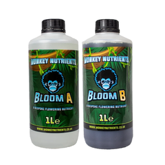 Monkey A&amp;B Bloom