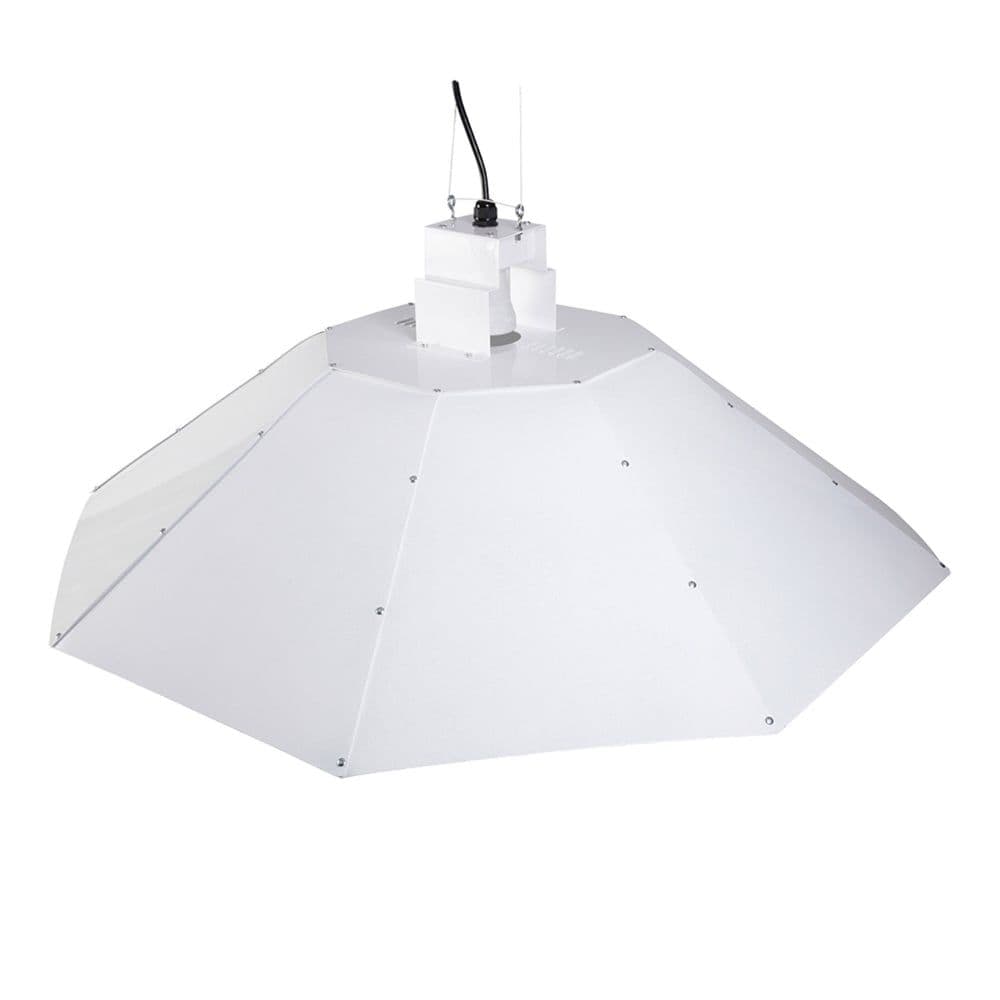 MaxiBright- Parabolic Reflector (Medium) White