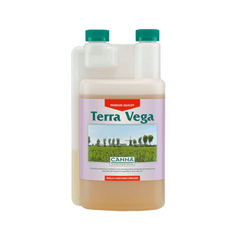 Canna Terra Vega