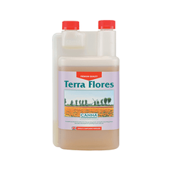 Canna Terra Flores