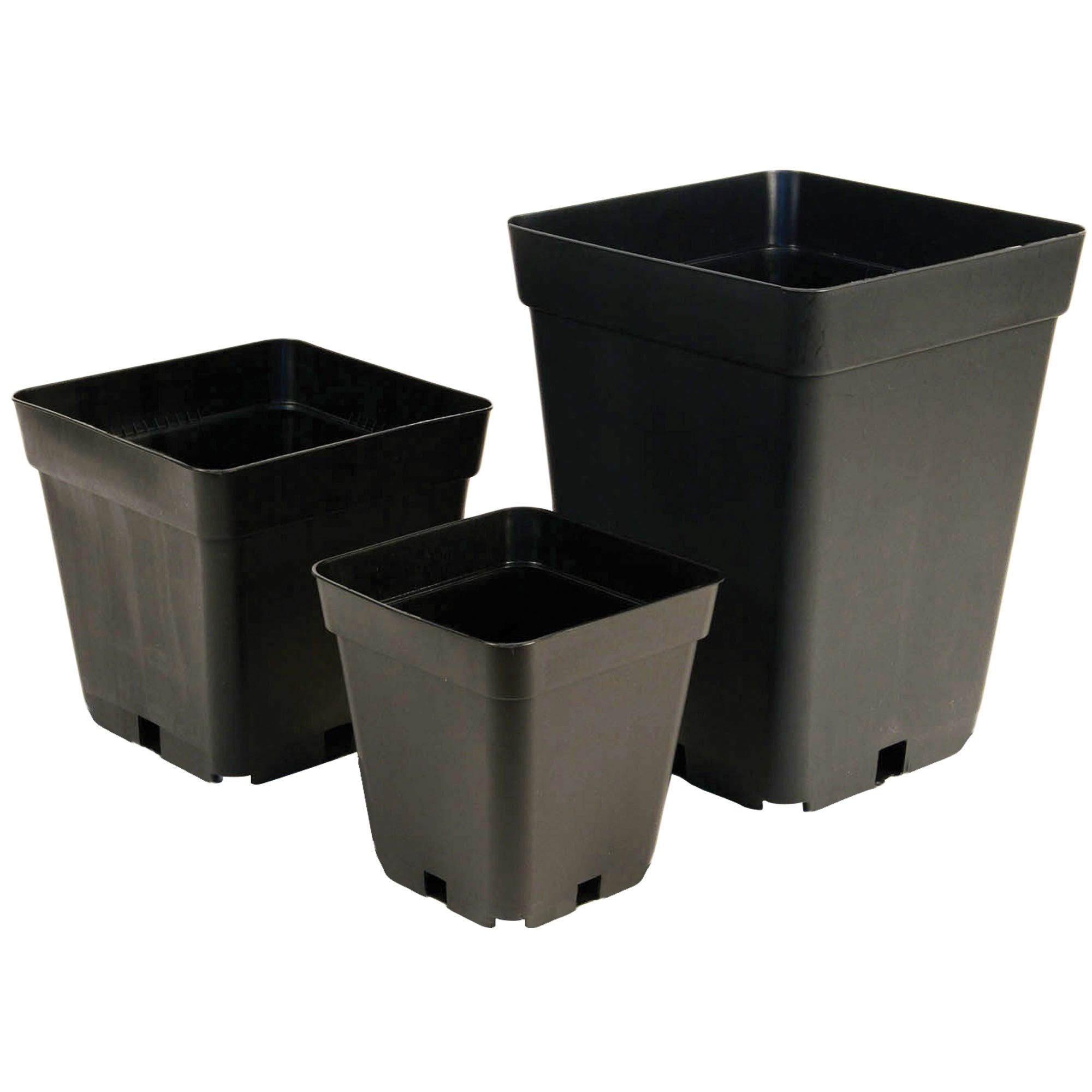Premium Square Pot – The Green Corner Hydroponics